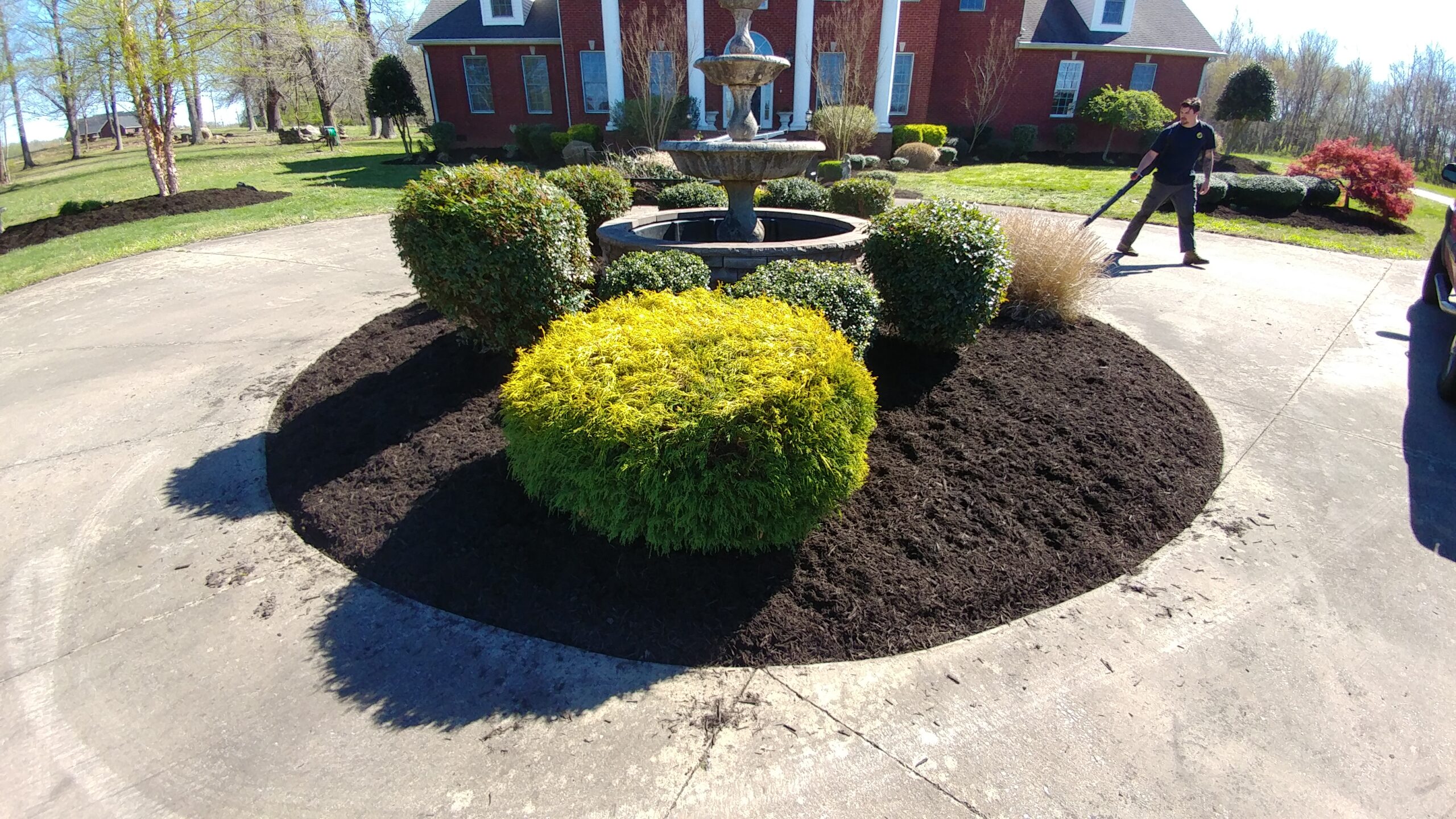Yards With Stripes (YWS) bush trimming and bush removal in clarksville TN