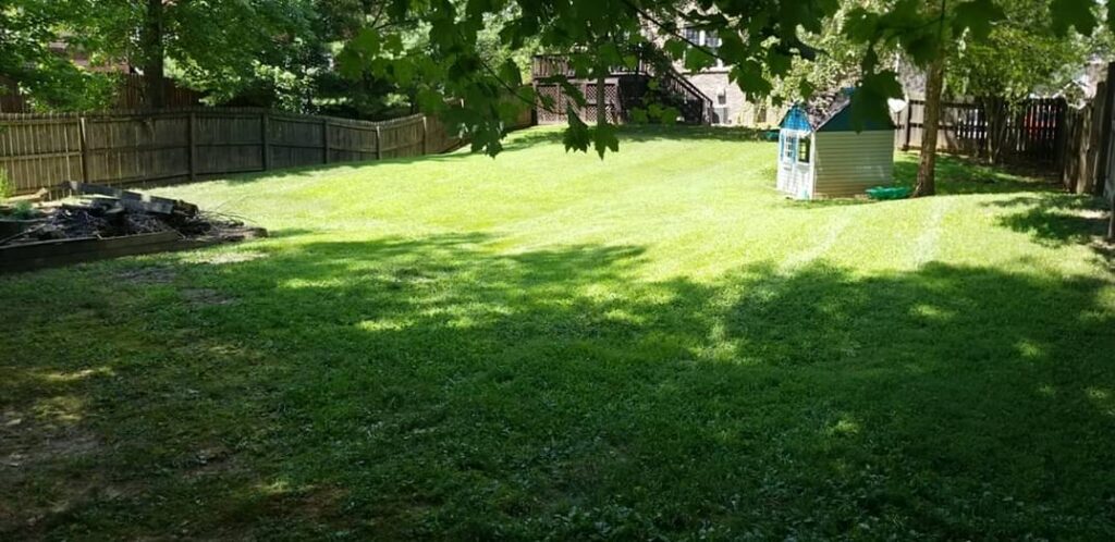 Yards With Stripes (YWS) lawn property maintenance in Clarksville TN