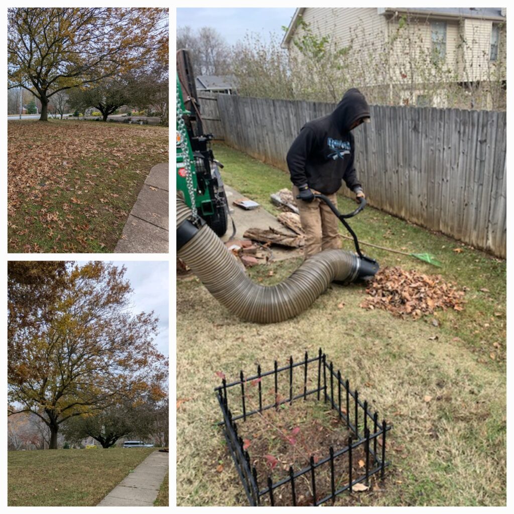 YWS, Yards With Stripes doing a leaf removal in Clarksville TN