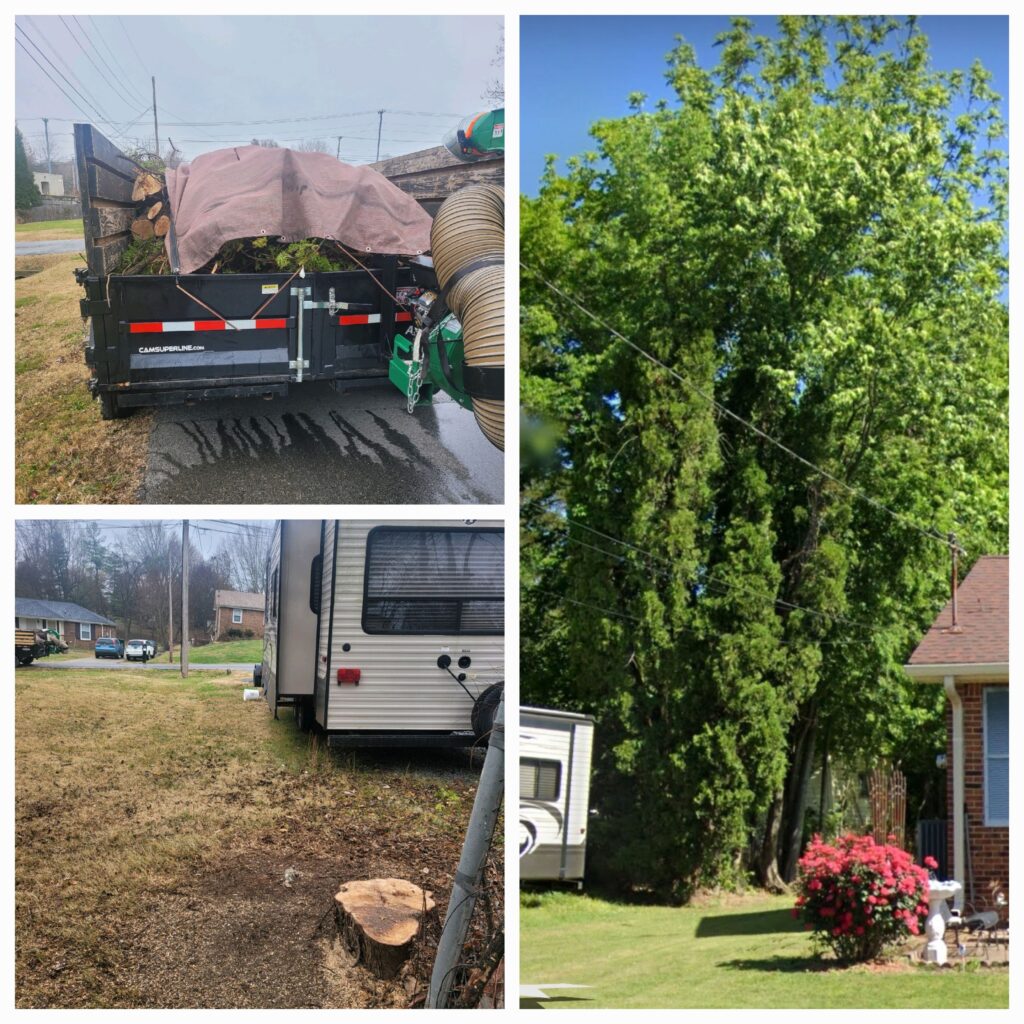 YWS Tree Service, Yards With Stripes tree removal in Clarksville, TN