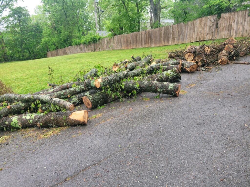 YWS Tree Service turning tree debris into firewood