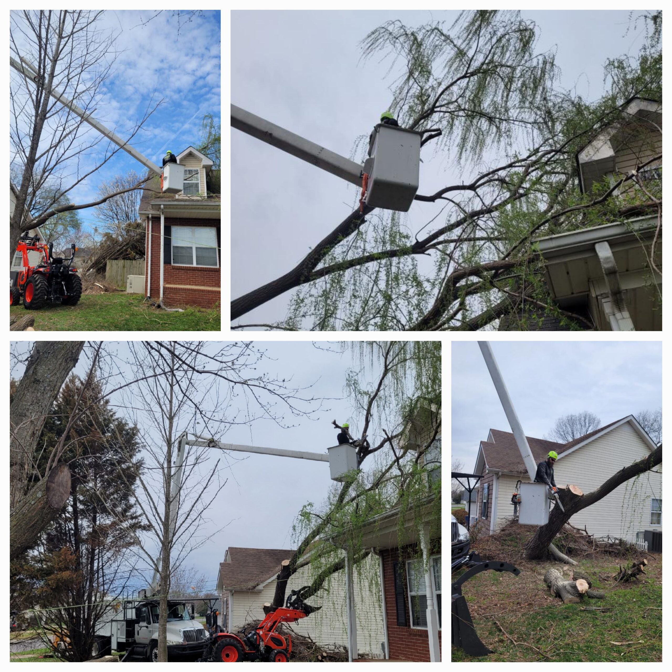 Removing a storm damaged tree from a customer's roof using a bucket truck